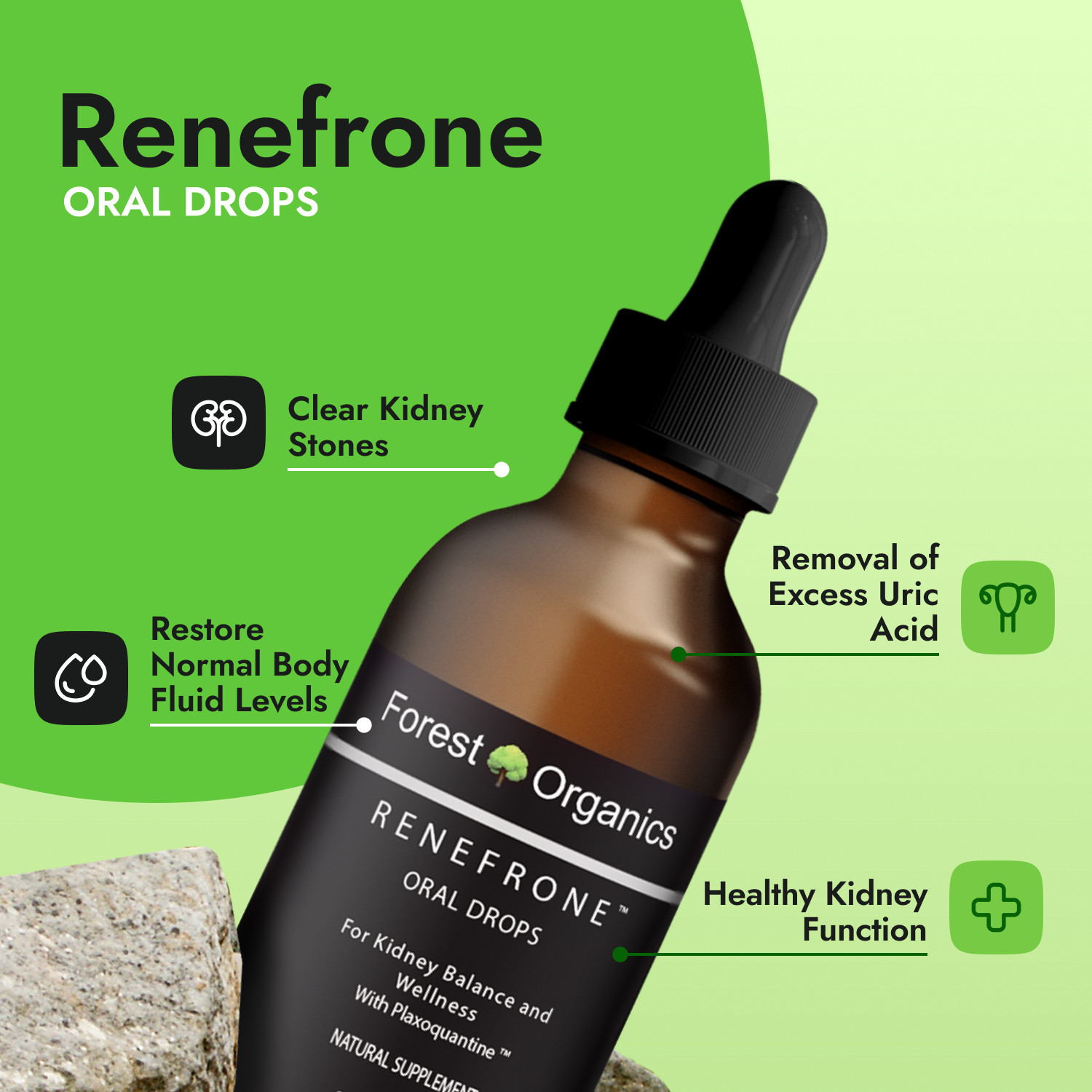 Kidney Health Support Supplement Kidney Detox Drops & Support Kidney Function