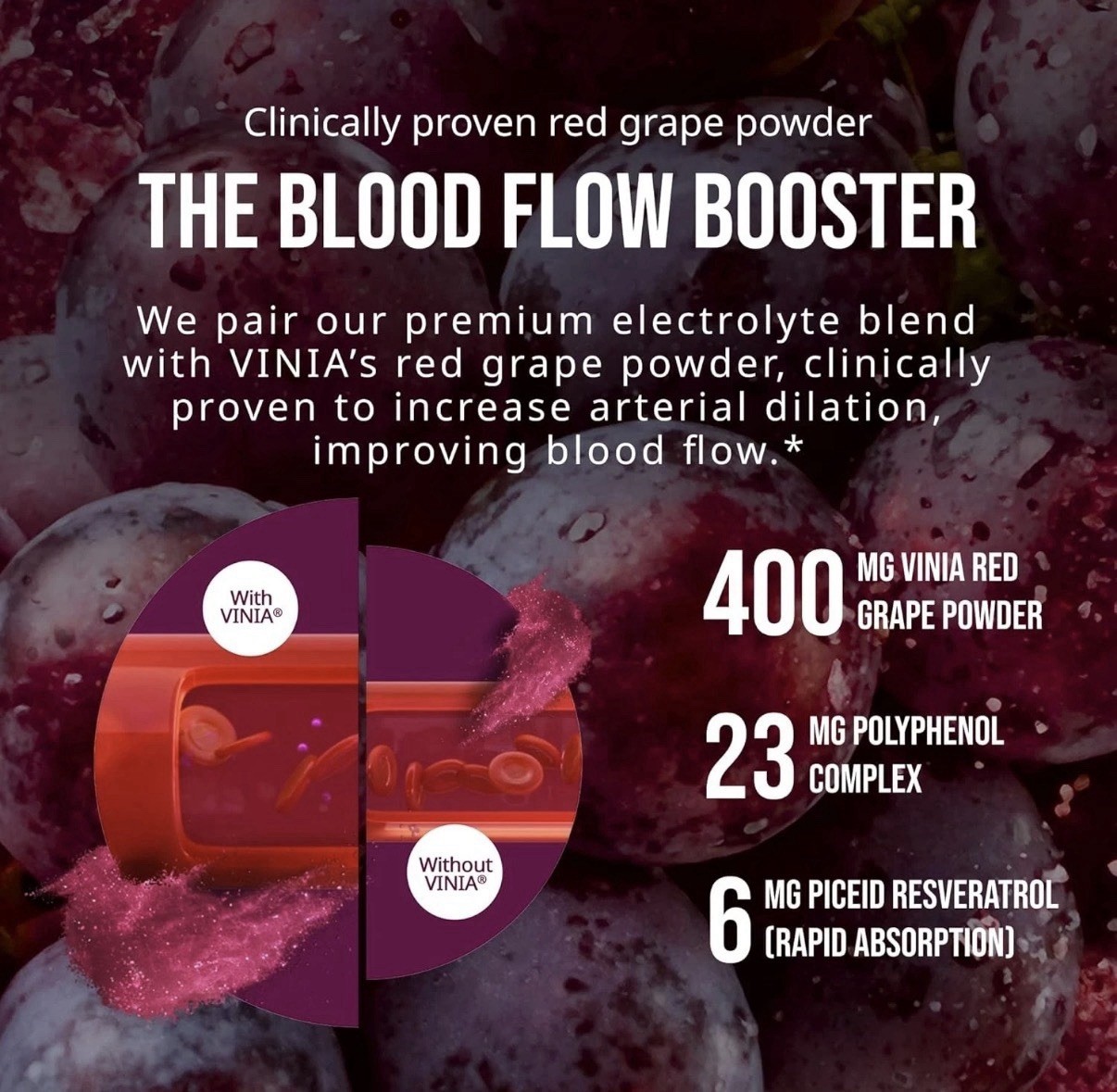VINIA Resveratrol Electrolyte Hydration Powder Mix Variety Mix Blood Flow 10 Ct