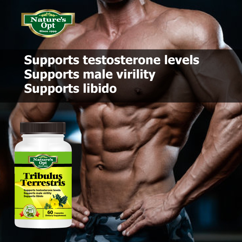 Tribulus Terrestris, Testosterone booster, Increase Muscle Strength Growth