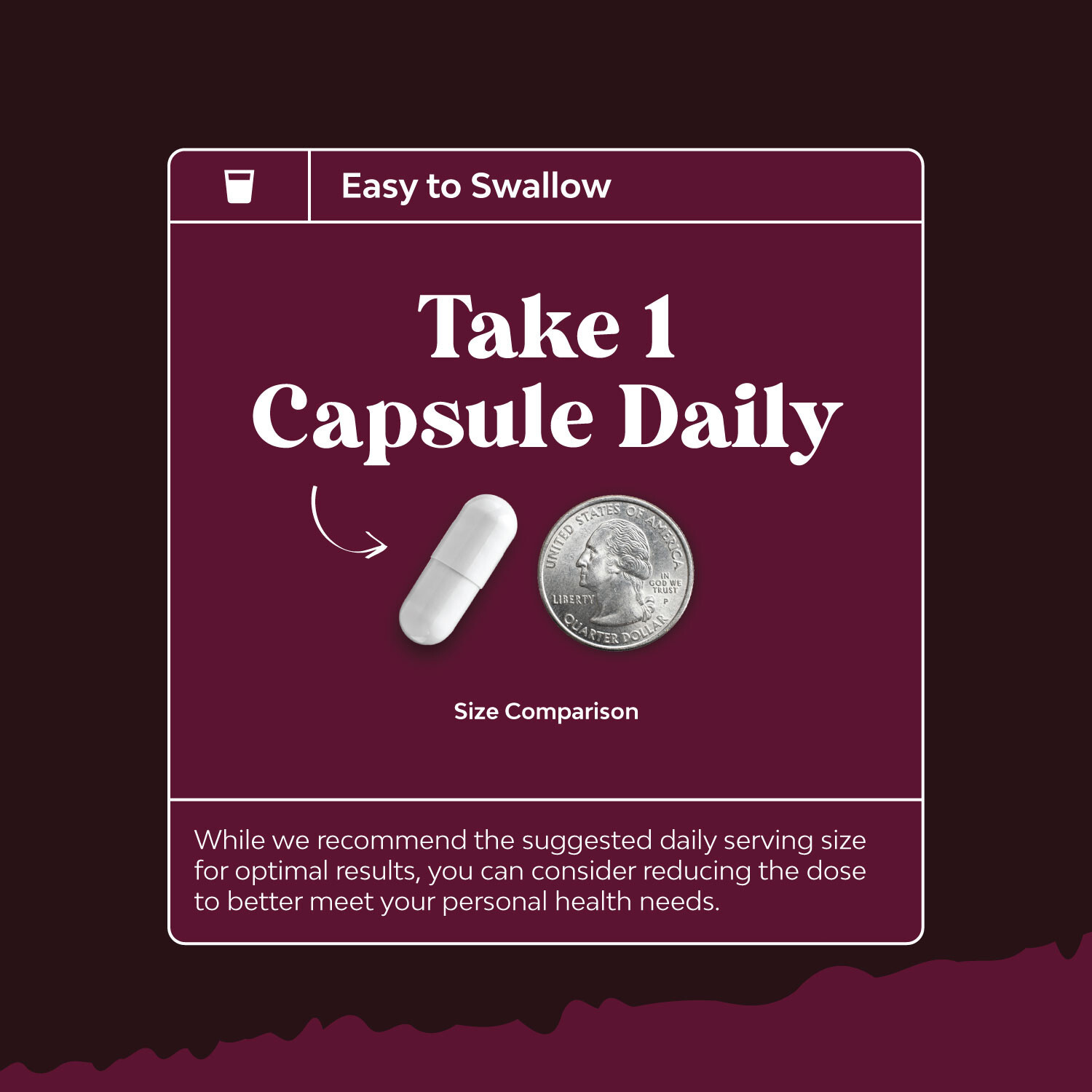 Kidney Support Cranberry Supplement for Women and Men 240ct