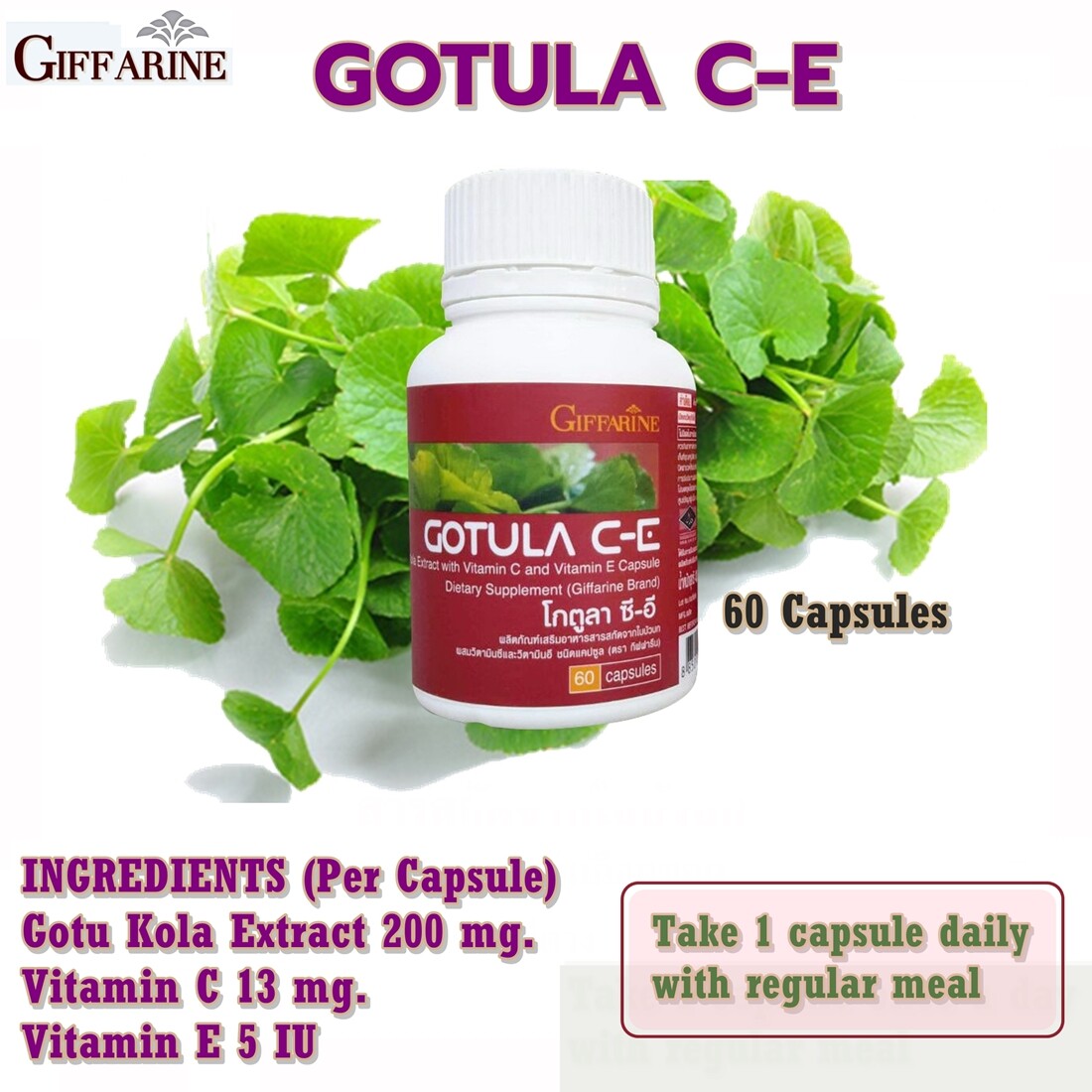 GOTULA CE_Cognitive Function_Varicose Veins_Ulcer_Hemorrhoids GIFFARINE 60Caps
