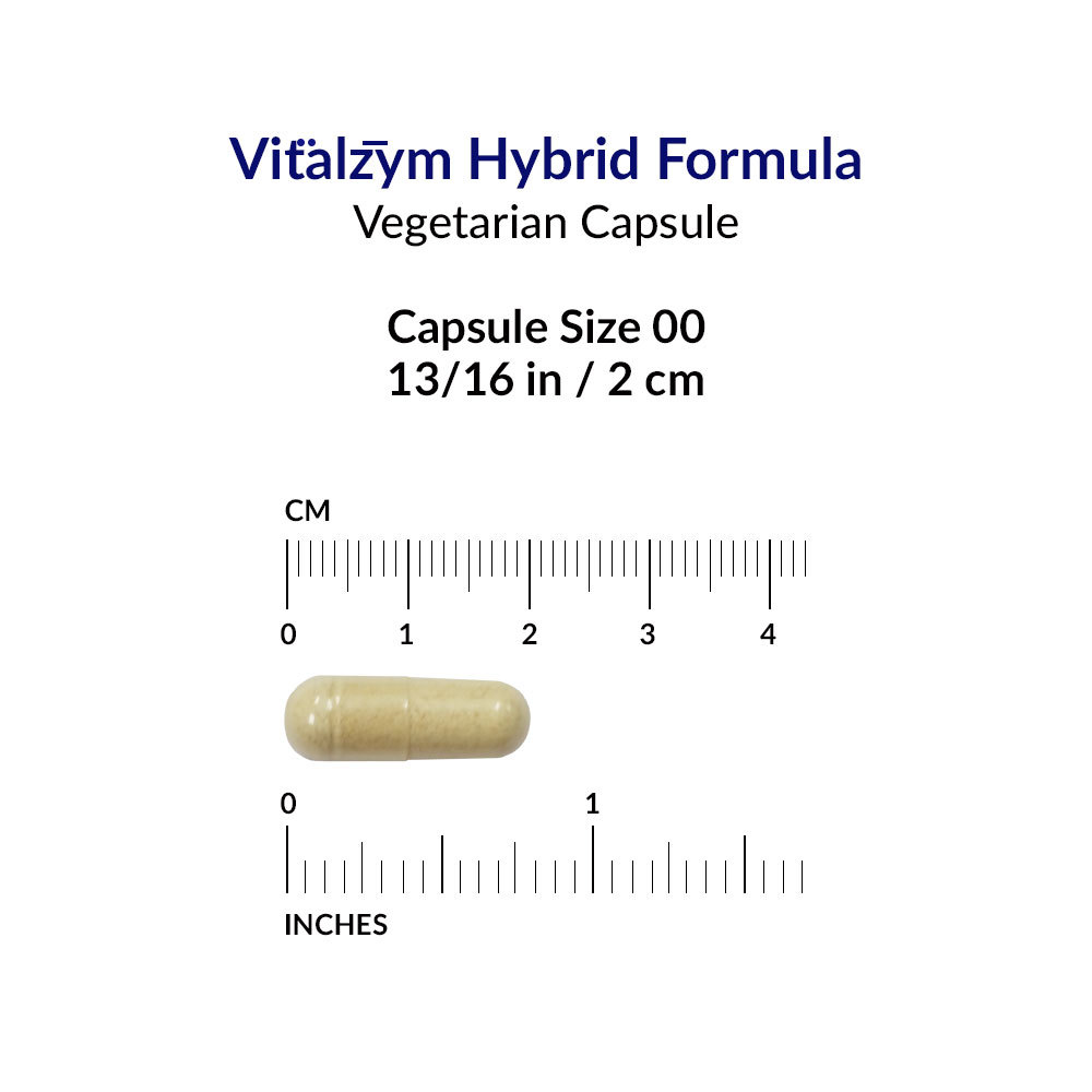 Vitalzym Systemic and Digestive Enzyme Formula 90 Caps – World Nutrition