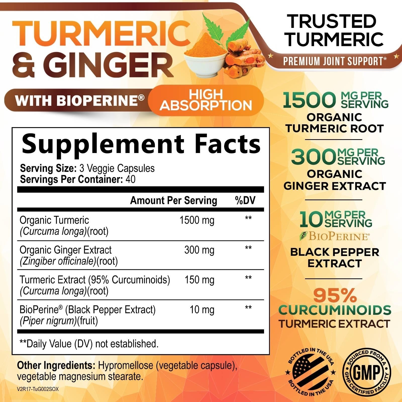 Turmeric Curcumin Supplement – 95% Curcuminoids – 120 Capsules