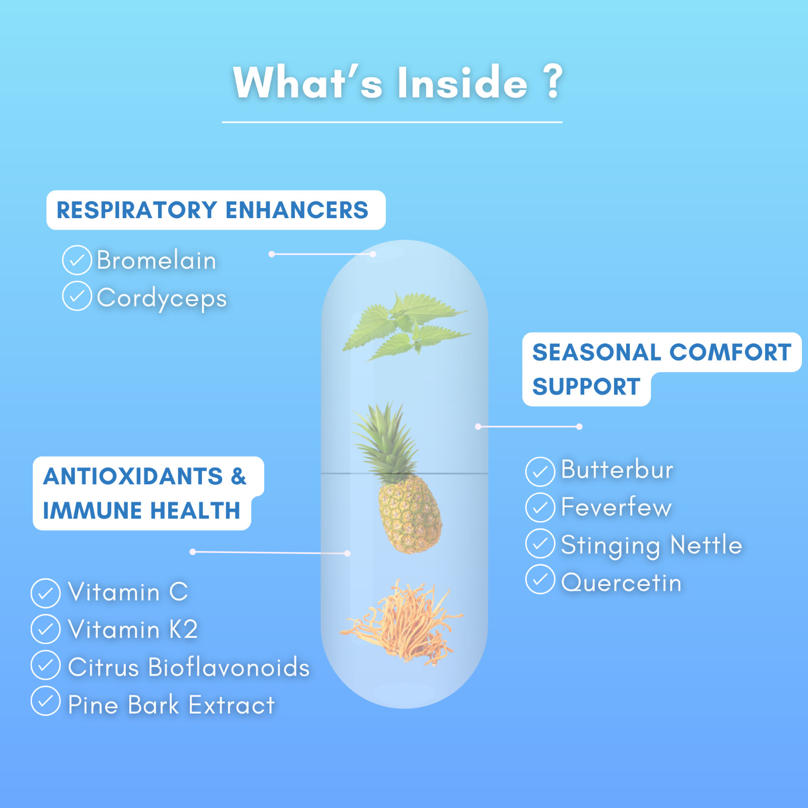 Lung Support – Lung Detox Program – Great for Smokers – Seasonal Comfort Support