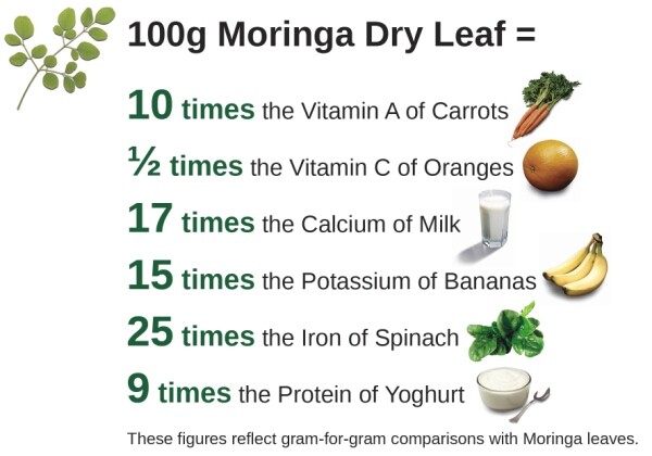 Organic Growth – MORINGA OLEIFERA – Plant-Based Protein 1 Bottle 60 Capsules