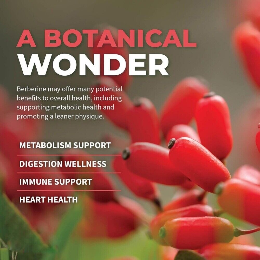 Premium Berberine HCL Plus Organic Ceylon Cinnamon, Bitter Melon – 1300mg