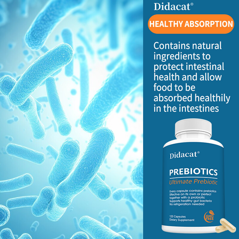 Prebiotic Supplement Protect Intestinal Health & Digestive System Health