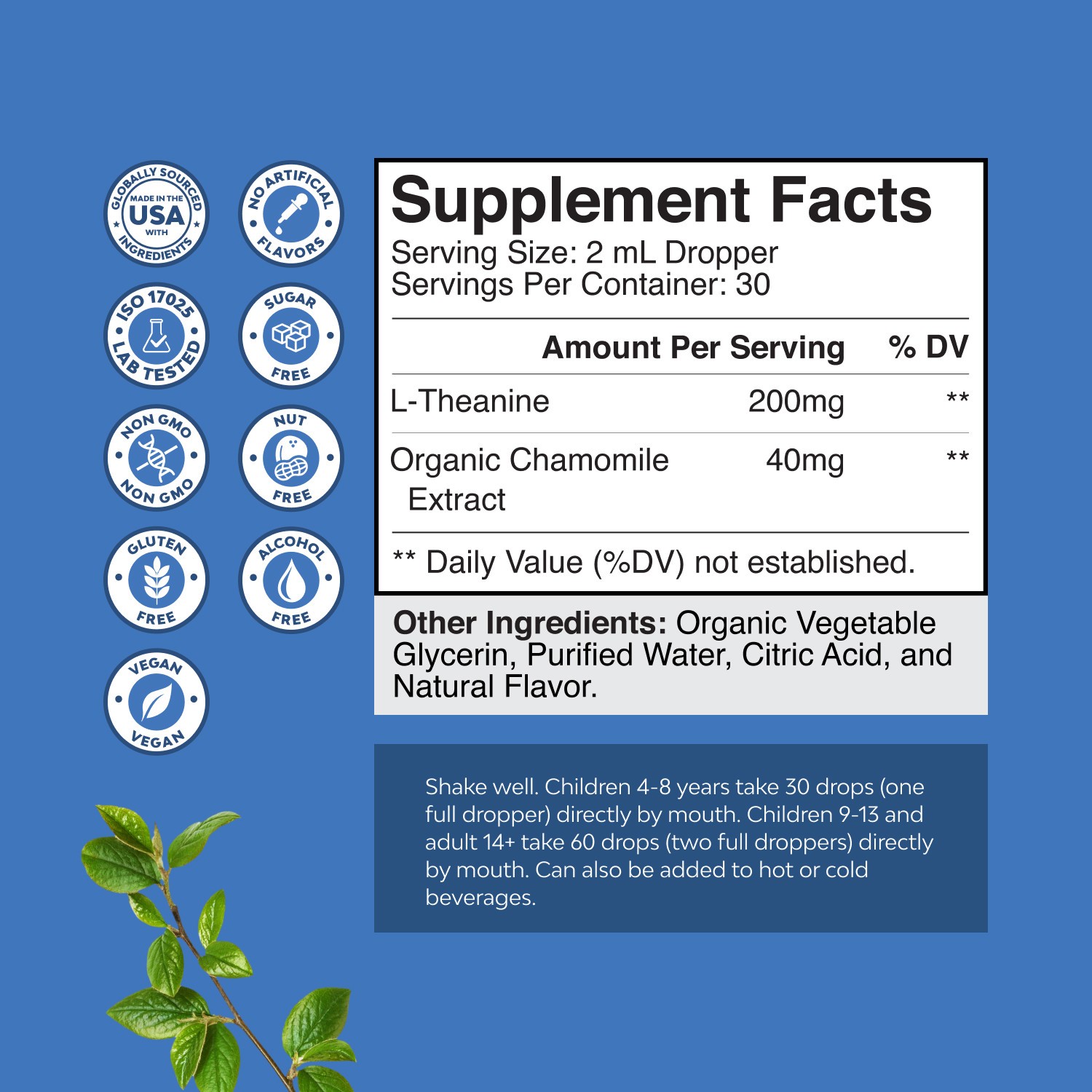 High Absorption L-Theanine Nootropic Focus Liquid Drops for Adults and Kids