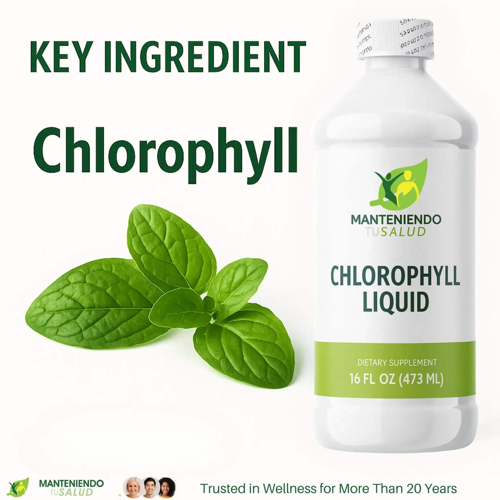 Manteniendo Tu Salud Chlorophyll Liquid, Internal Deodorizer, 16 Oz