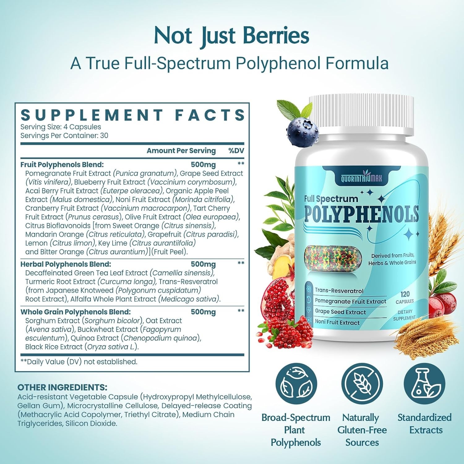 Polyphenols Supplement 1500mg – Over 20 Fruit, Herbal & Cereal Full Spectrum