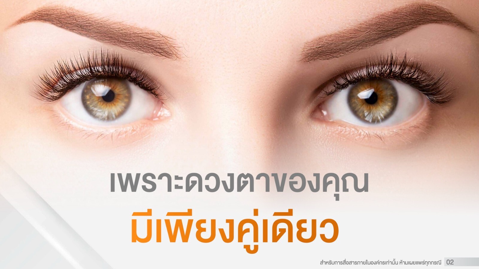 Boom iZ (Boom IC) eye care