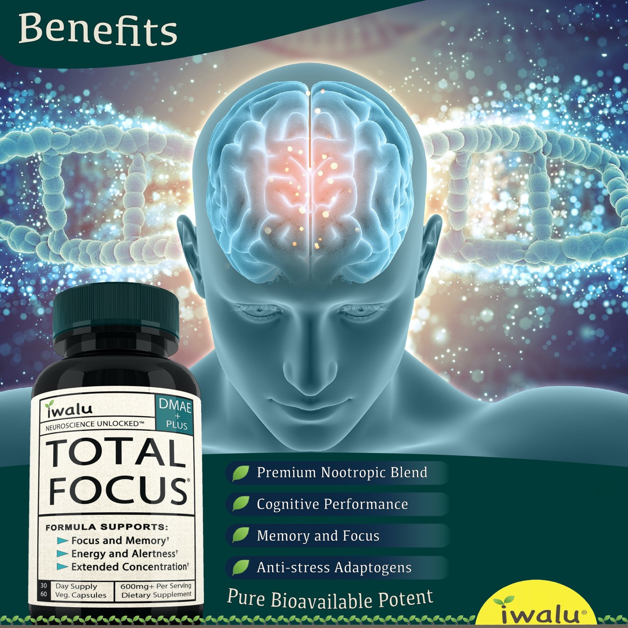 Vitamins For The Brain For Adults: Maintain Cognitive Health, Memory Support Vit