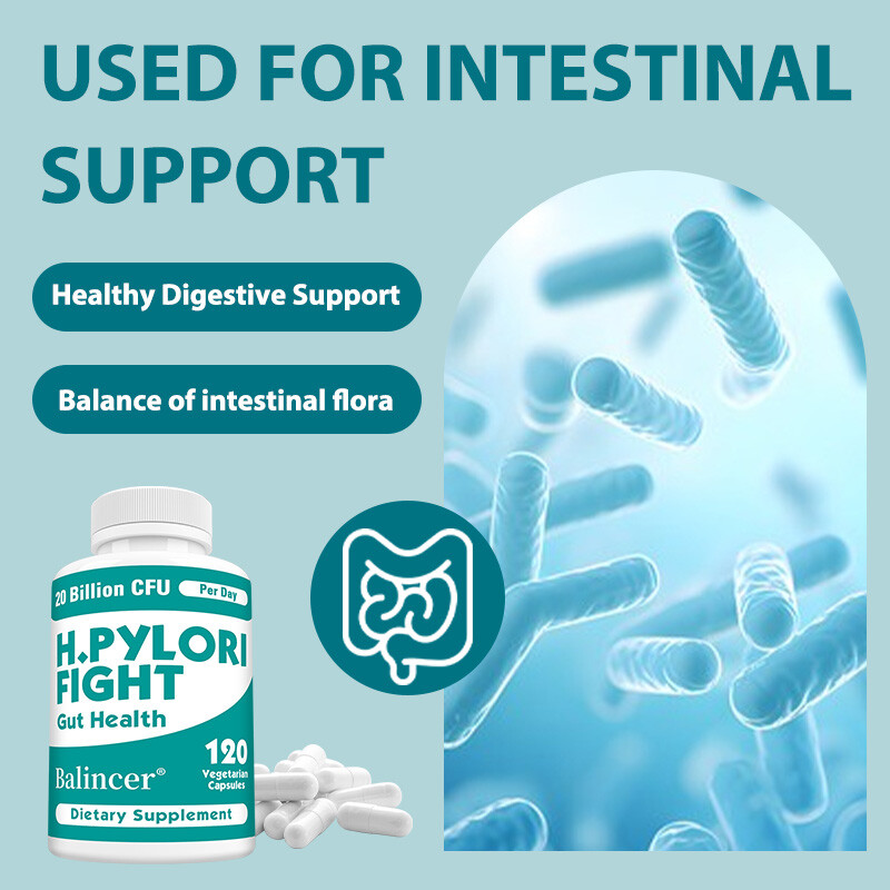 H Pylori Fight Gut Improve Digestive Health Balance Intestinal Flora 120 Count