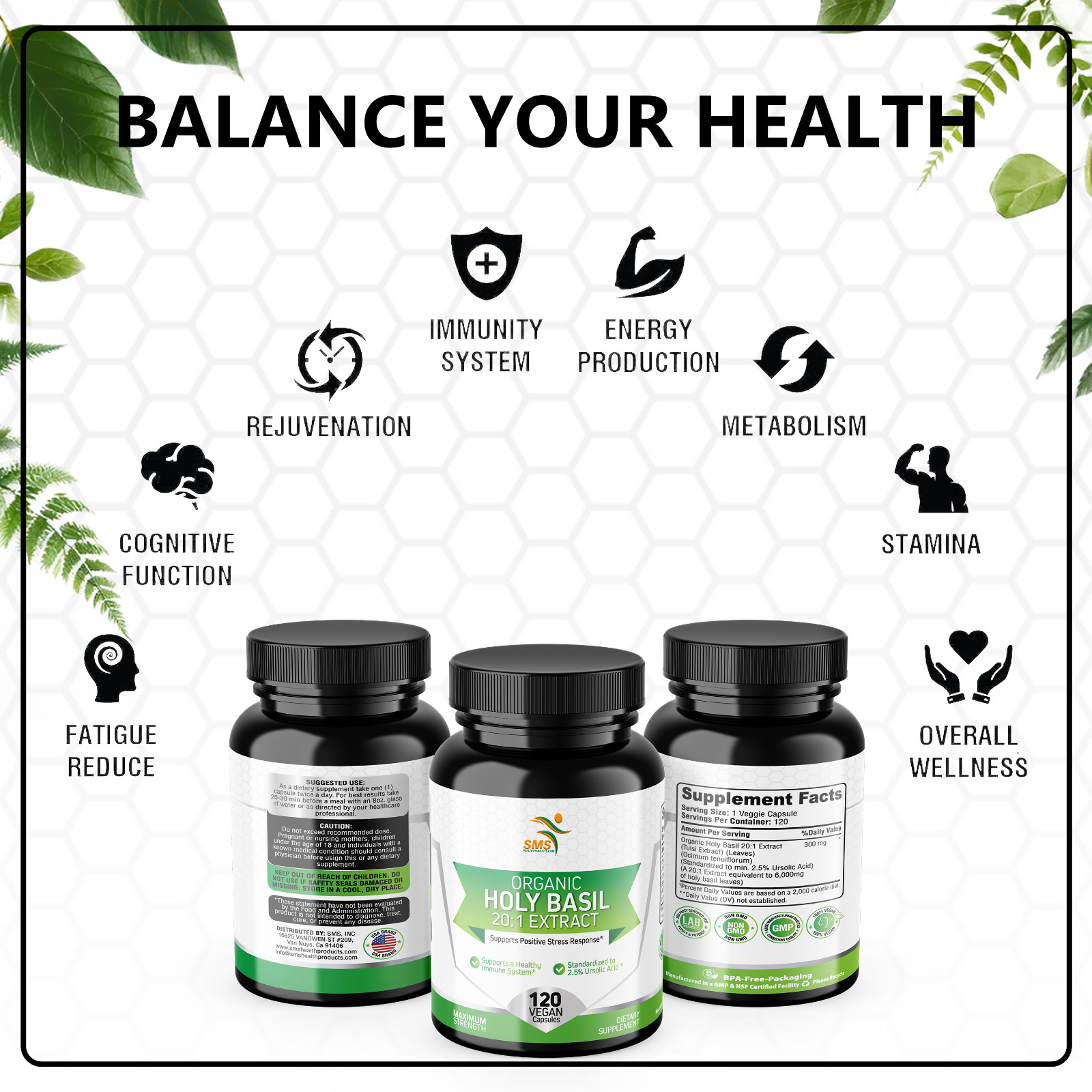 Organic Holy Basil 20:1 Extract 2.5% Ursolic Acid (120 Veg Capsules) Made In USA