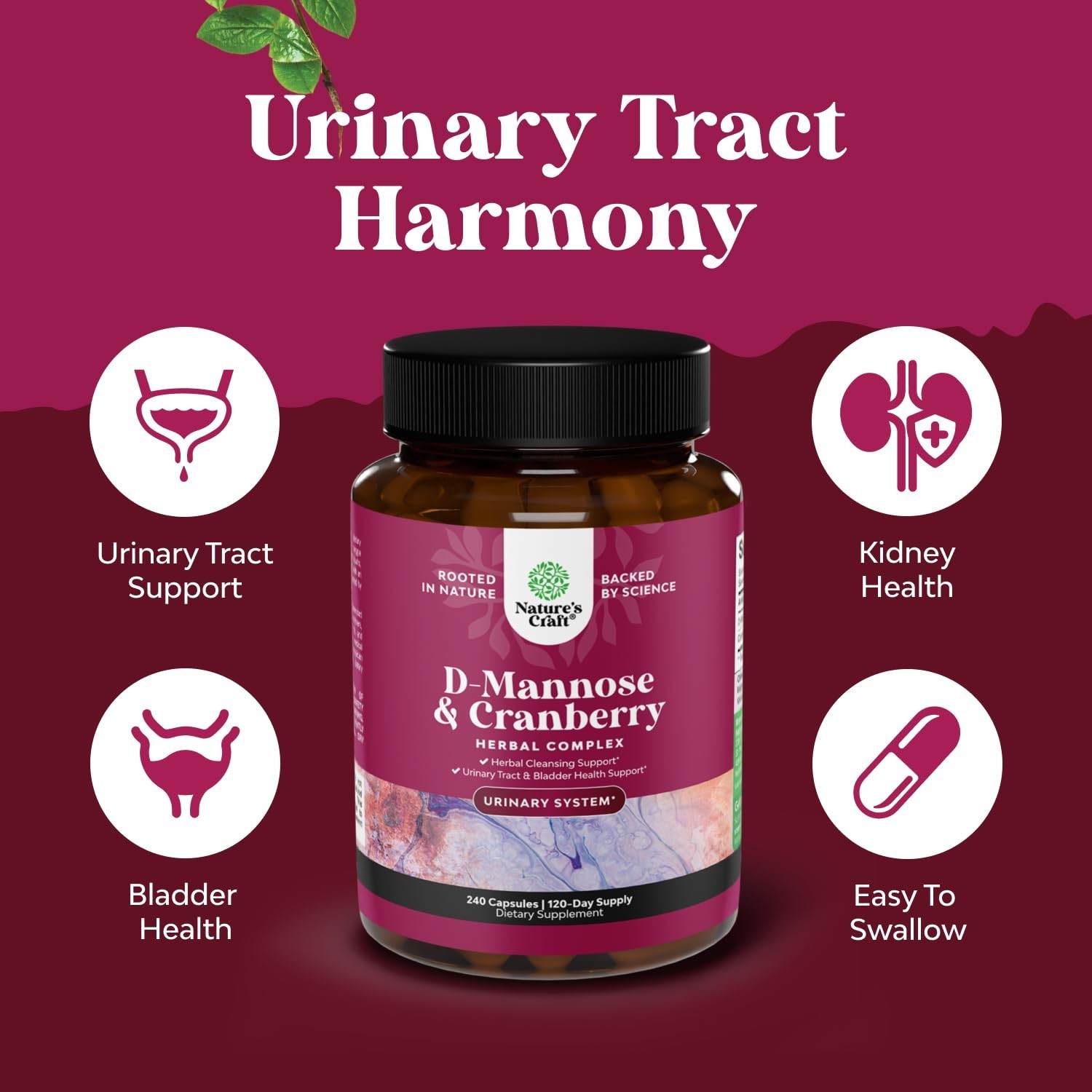 D Mannose Cranberry Extract Capsules for Urinary Tract Health for Women 240ct