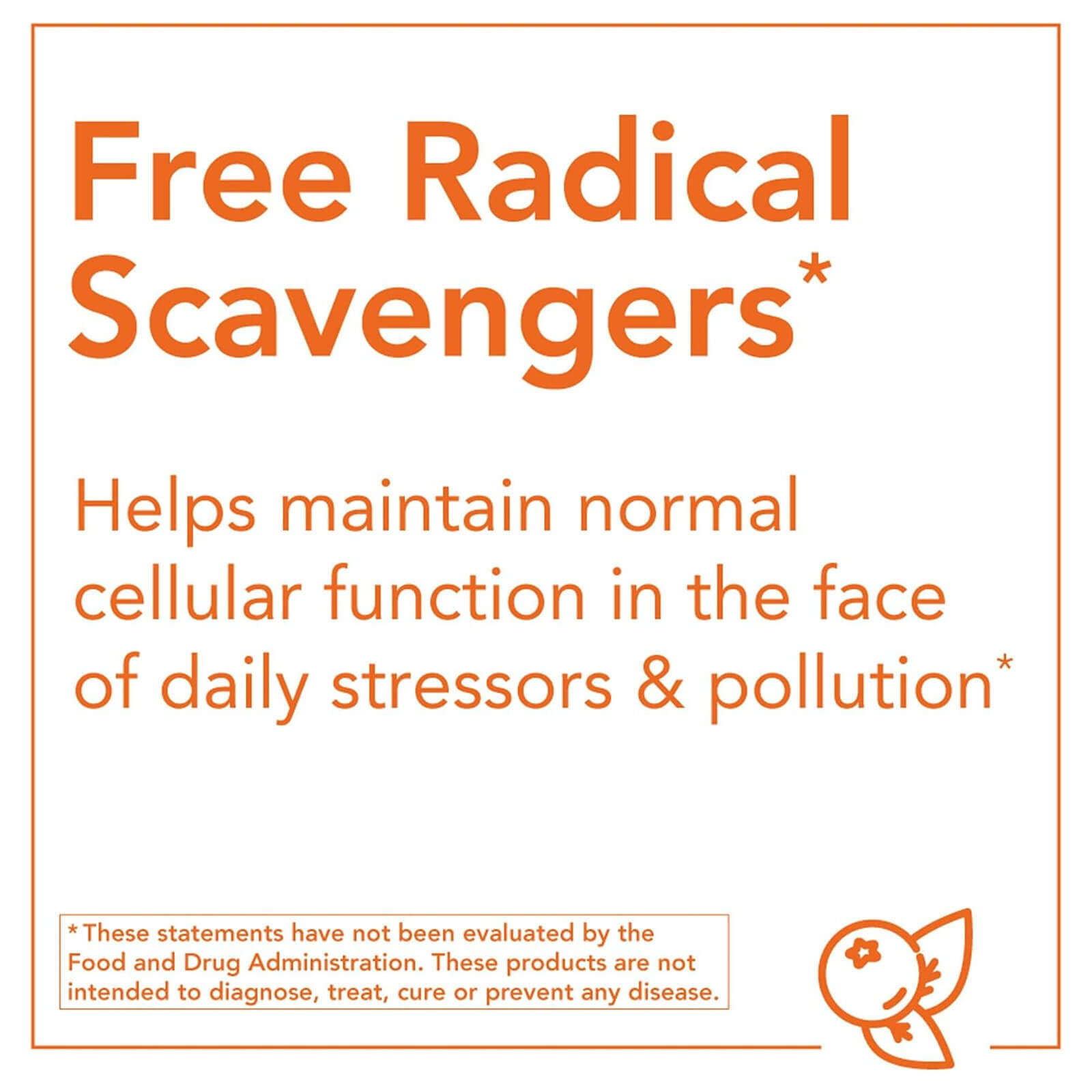 NOW FOODS NAC 1000 mg 60 Tablets Free Radical Protection* Immune System Support