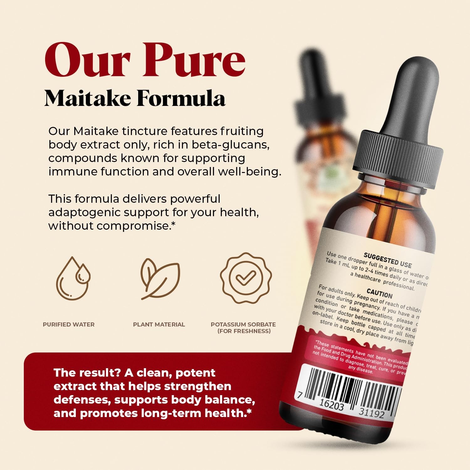 Amazing Botanicals Maitake Mushroom Extract – Liquid 1 Fl Oz (Pack of 1)