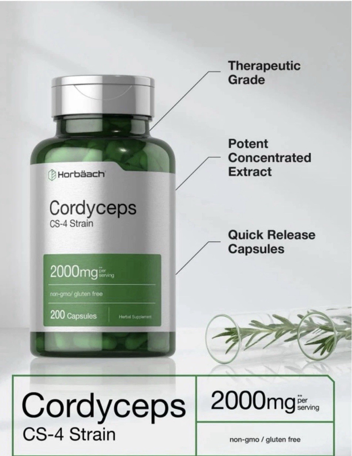 Cordyceps CS-4 2000mg 200 Capsules Gluten-Free Non-GMO Supplement