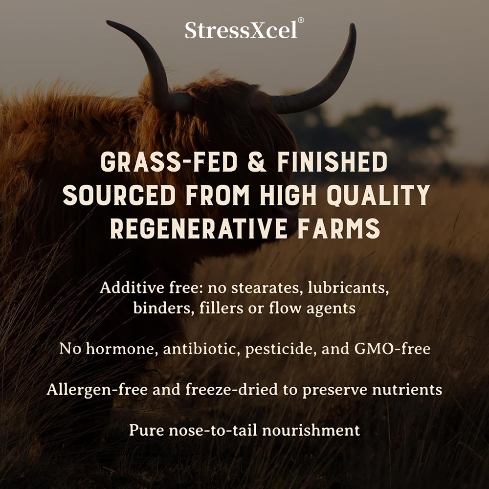 Grass Fed Beef Liver 3000mg Supplement, 30/60/120 Caps, Nature’s Multivitamin