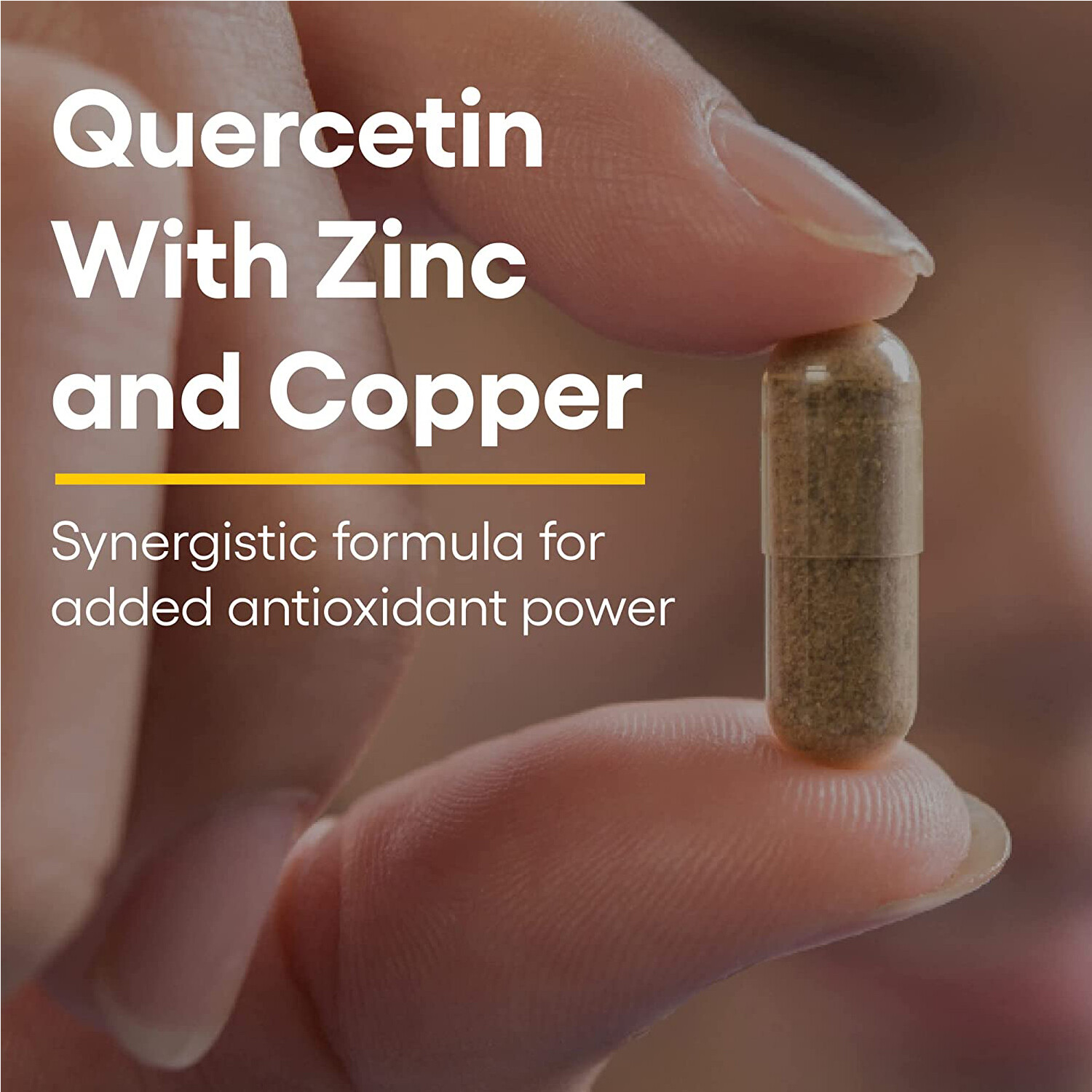 Natural Factors, Quercetin 500 mg w Zinc & Copper 4 Immune Support,60VegCaps