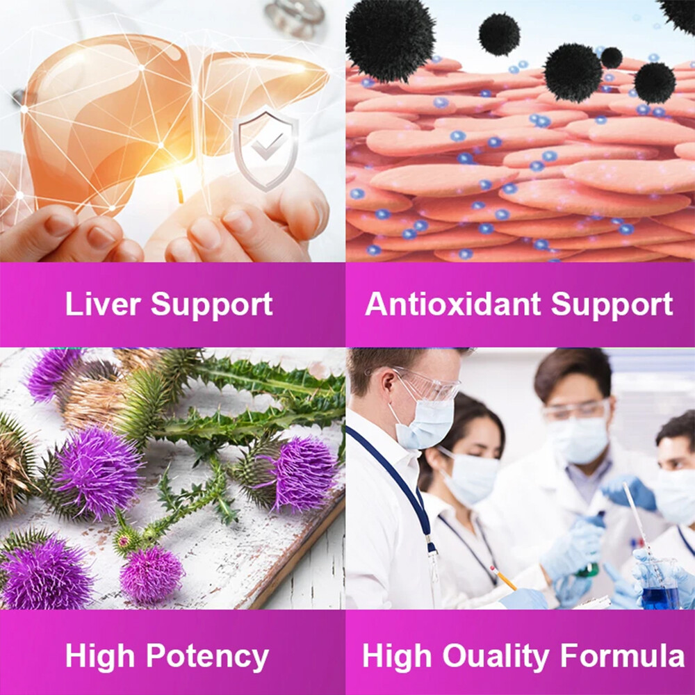 Milk Thistle Extract Support Liver Detoxification Repair Liver Cells Antioxidant