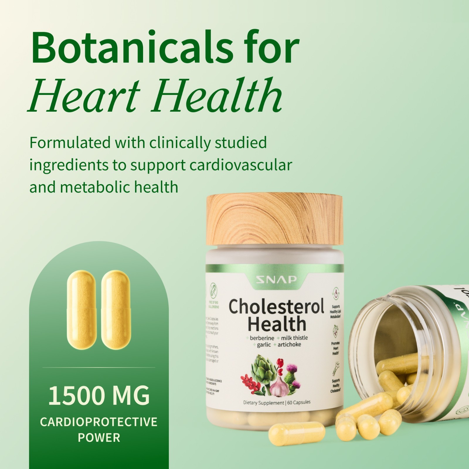 Cholesterol Health Snap Supplements Lipid Metabolism, Digestive Function, 60 Cap