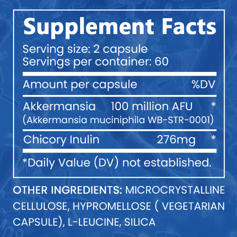 New Formula Akkermansia Muciniphila Live Probiotic Capsules Gut Health Support