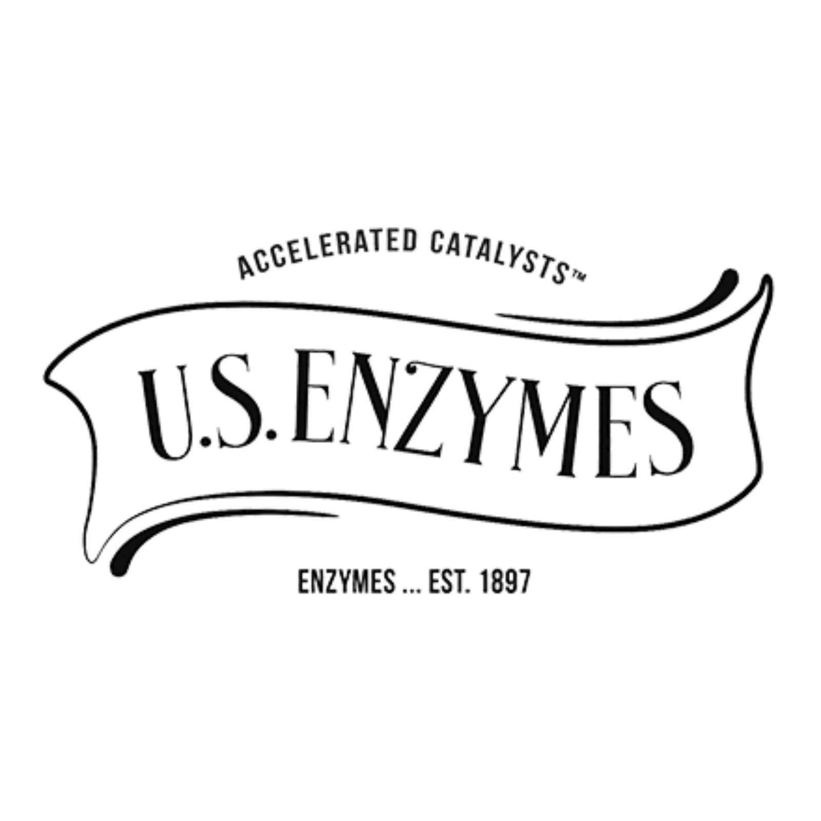 Master Supplements US Enzymes NATTOXYM 93 Capsules Nattokinase Blend