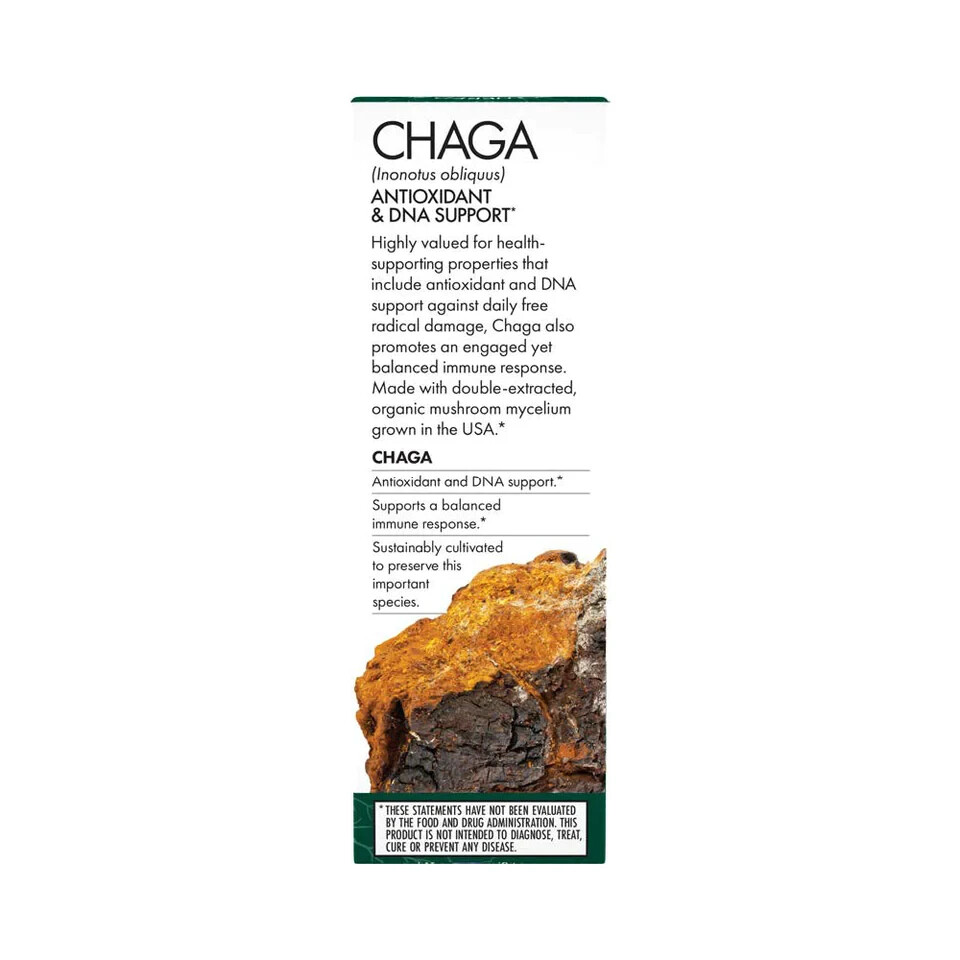 Host Defense Chaga Extract 2 Oz Organic Antioxidant Support Fungi Perfecti