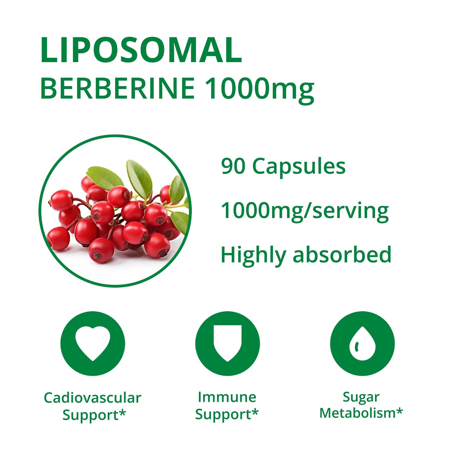 Liposomal Berberine Supplement – Advanced 90 Count (Pack of 1)