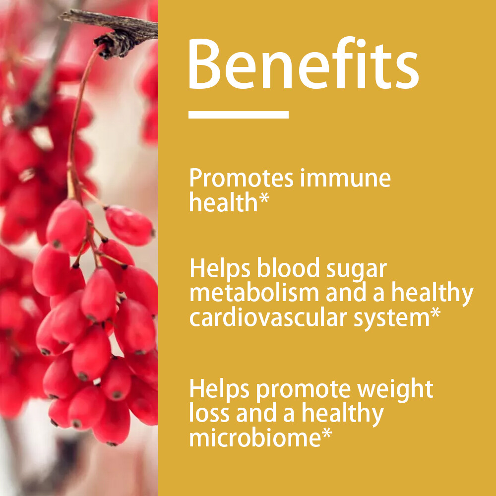 Blood Sugar Support Supplement 600mg Bioavailable Berberine Broccoli Seed