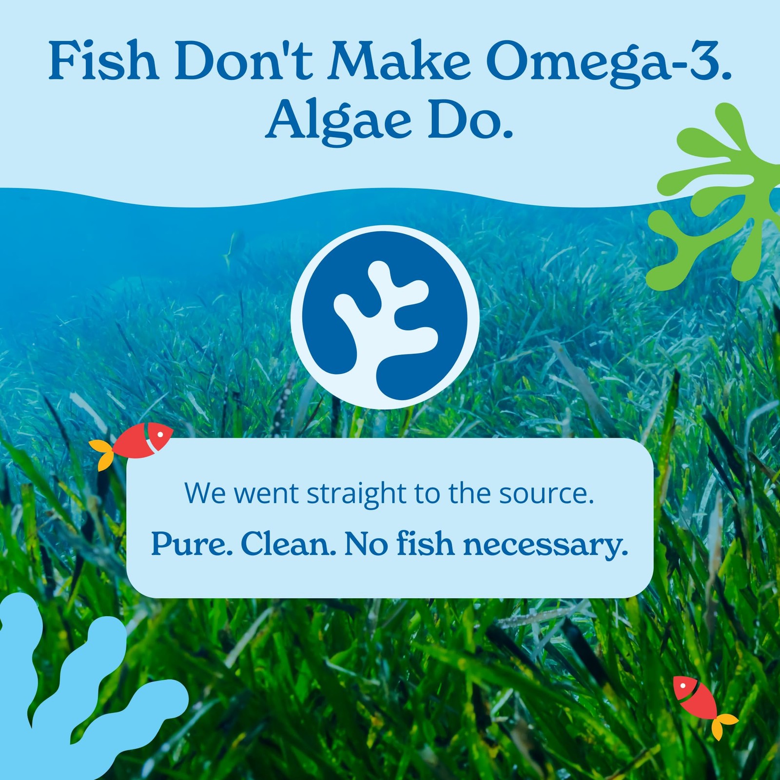 Calgee Algae Omega 3 Supplement 450Mg Dha Epa Carrageenan-Free Sorbitol-Free