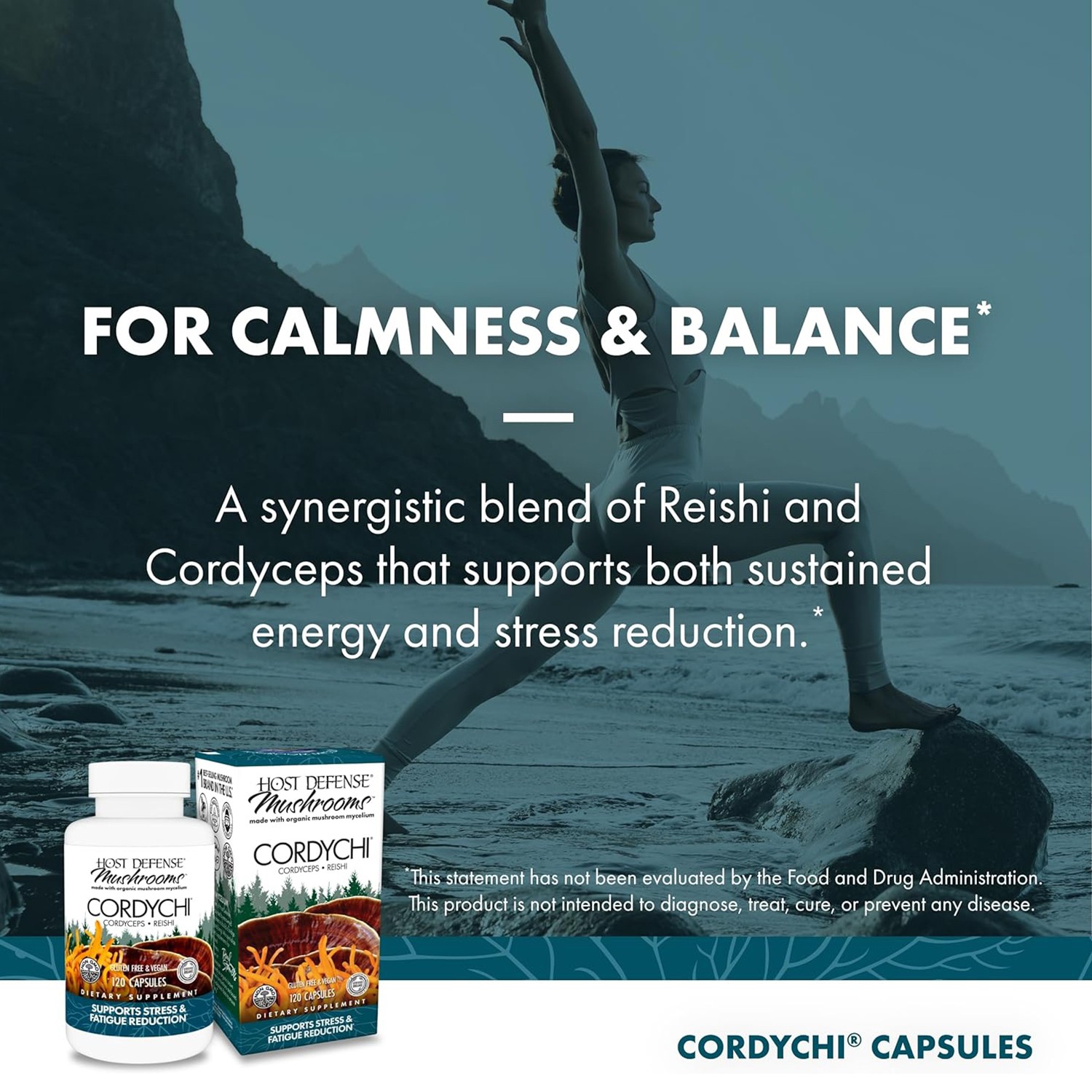 Host Defense CordyChi,Energy/Immune Support+Cordyceps&Reishi,120VeganCaps