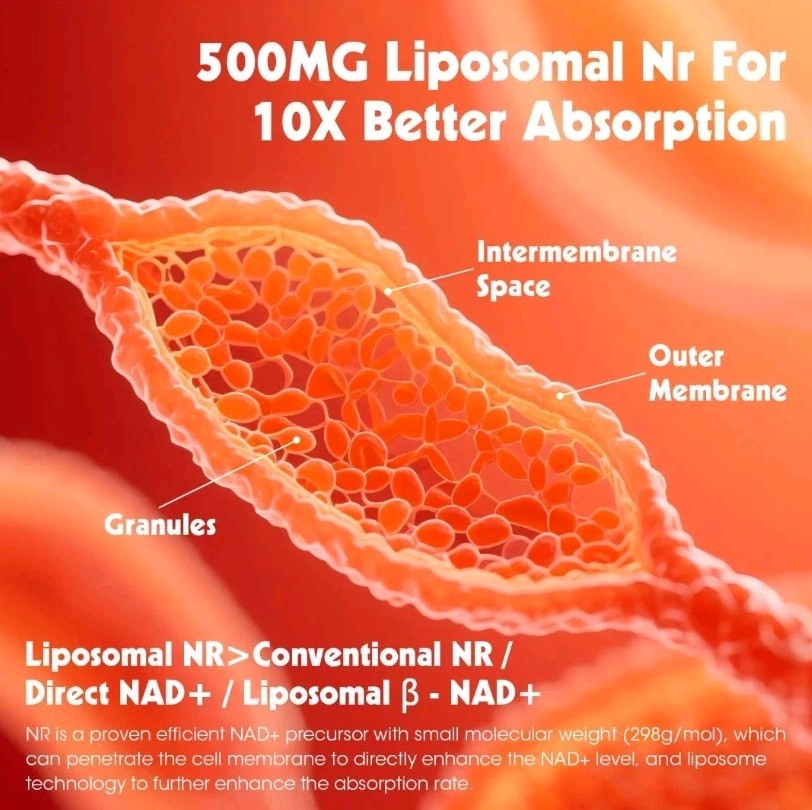 Alliwise Nicotinamide Riboside Liposomal 500mg Dietary Supplement 90 Cap