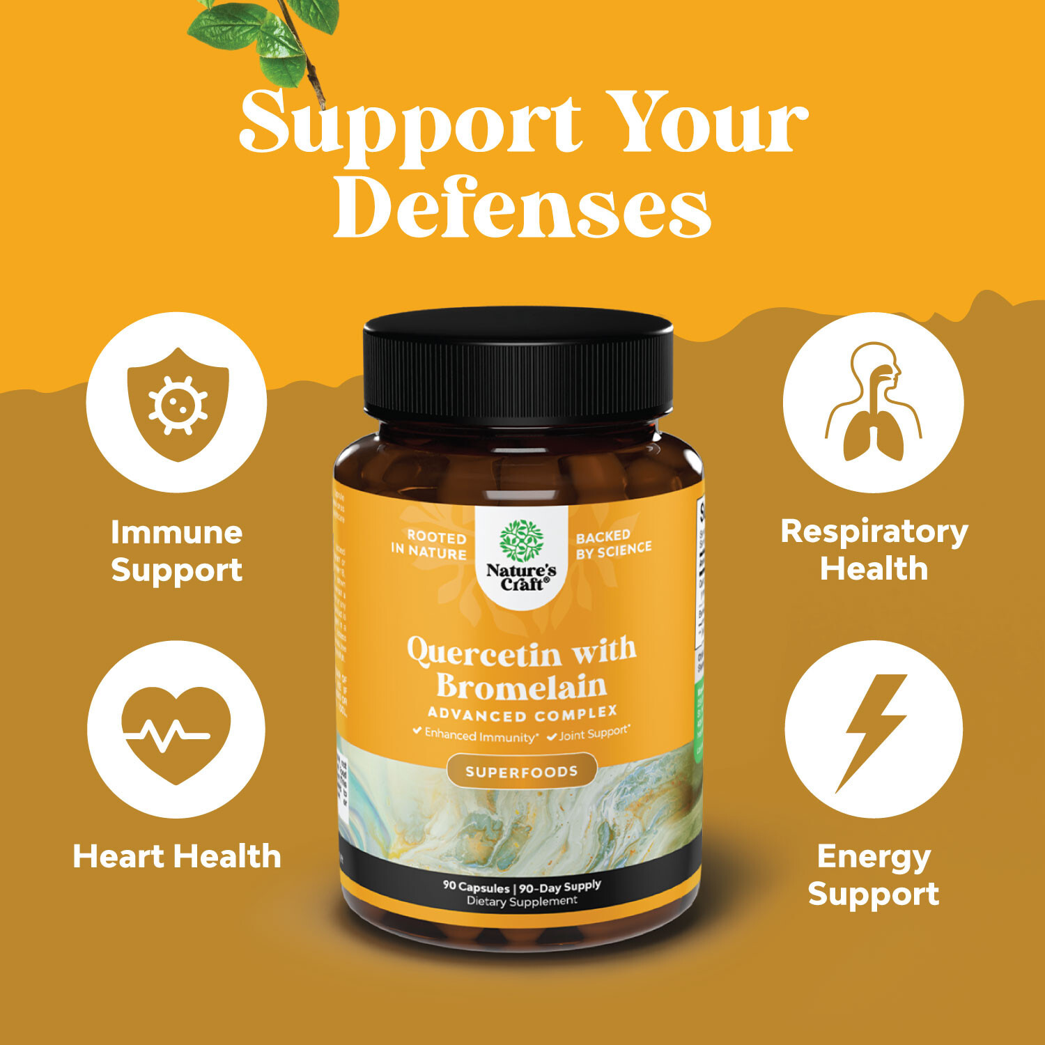 Immune Support Quercetin with Bromelain Supplement Antioxidant Joint Lung Health