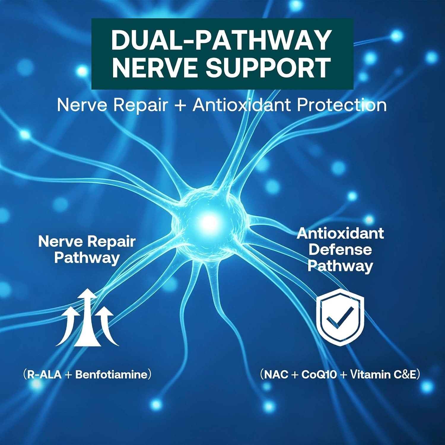 2-Pack Neuropathy Support Alpha Lipoic Acid Benfotiamine NAC B-Complex 120 Each