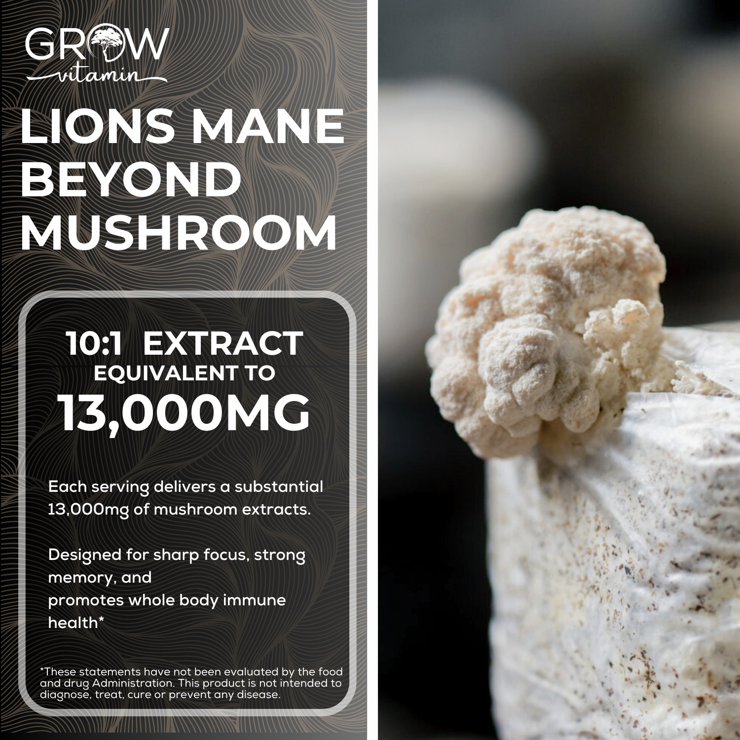 Premium Mushroom Complex EXTRA STRENGTH Supplement – 60 Easy to swallow capsules