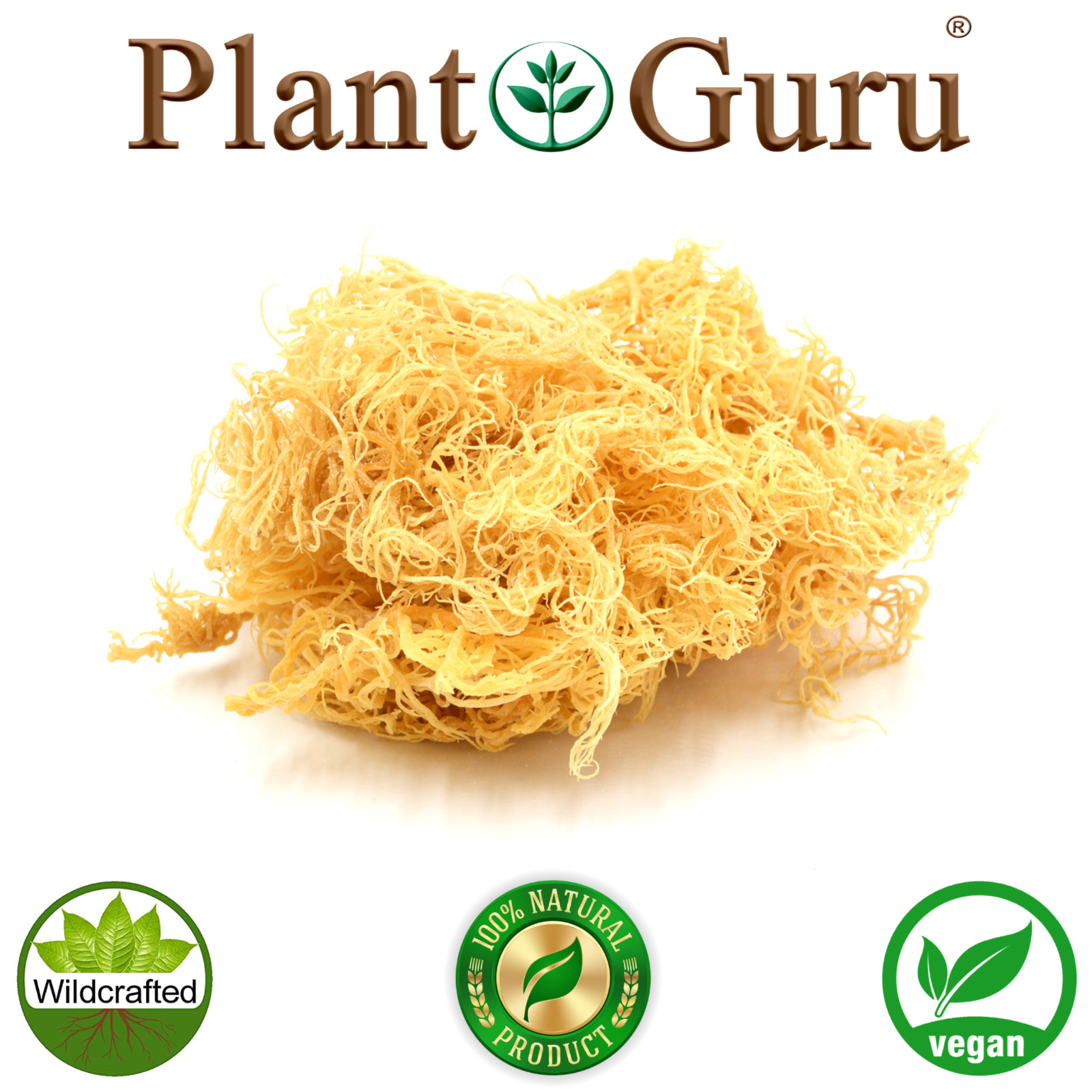 St Lucia Sea Moss / Dr Sebi Irish Moss Wildcrafted 100% Raw Gold, Purple, Green.