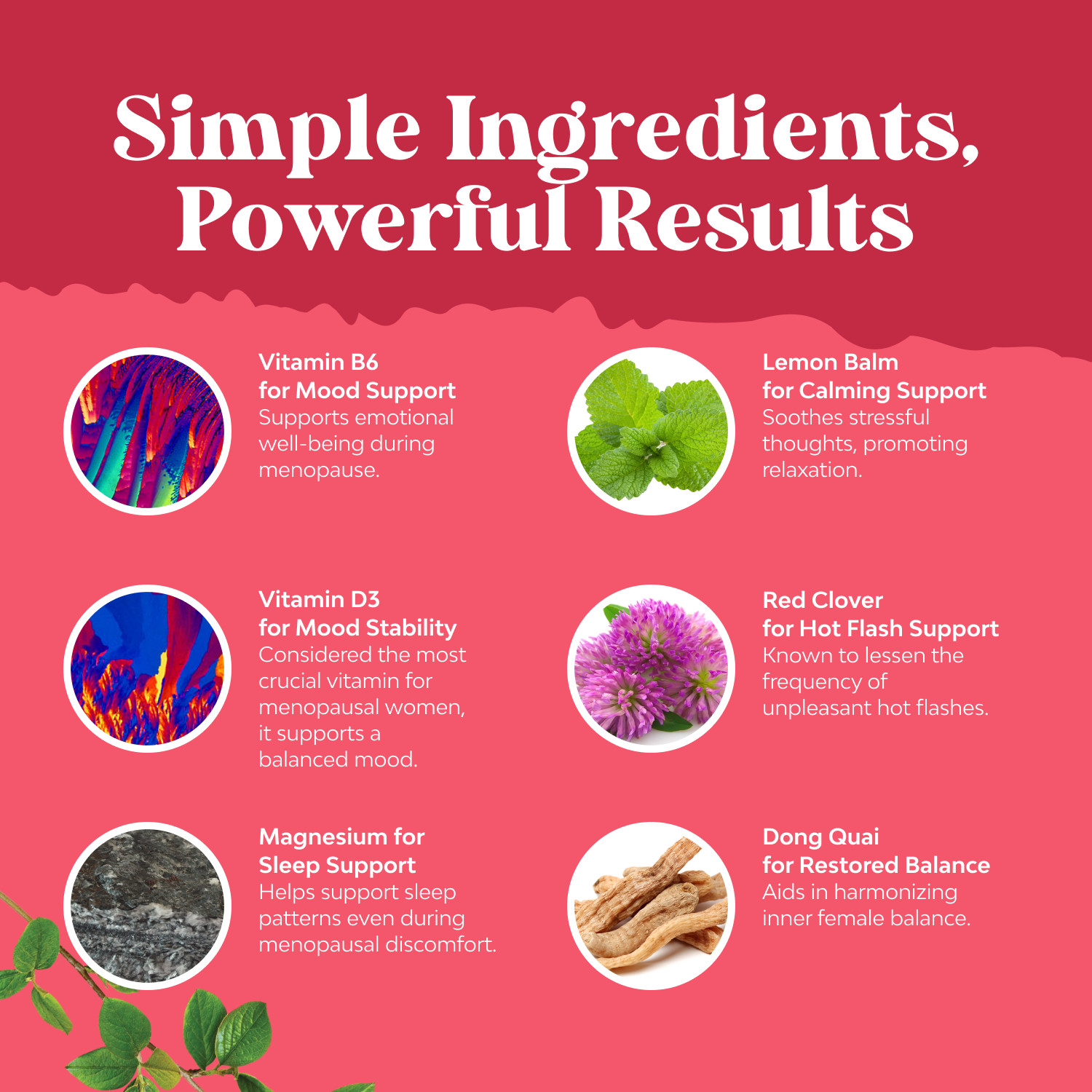 Complete Herbal Menopause Supplement for Women – Hormone Balance 120ct