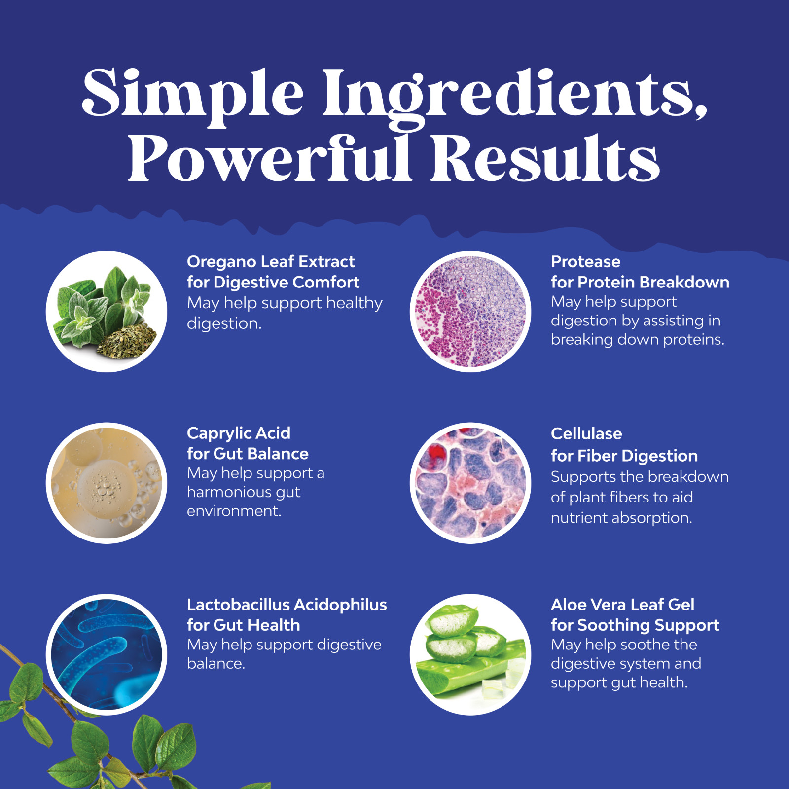 Natures Craft Candi-Clear Body Cleanse Detox for Women with Caprylic Acid 60ct