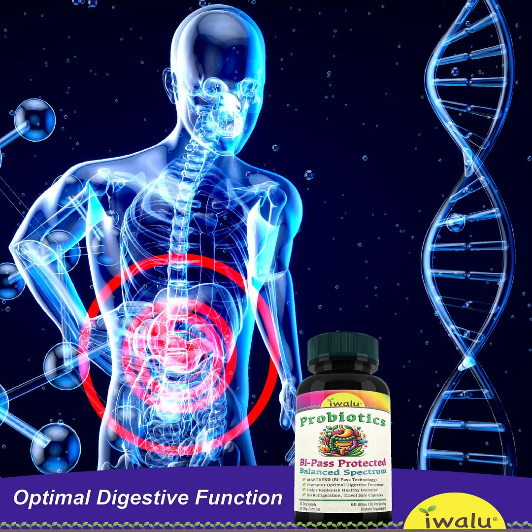 Amylase And Lipase High | Best Supplement Capsule Pill Men Women FREE SHIP