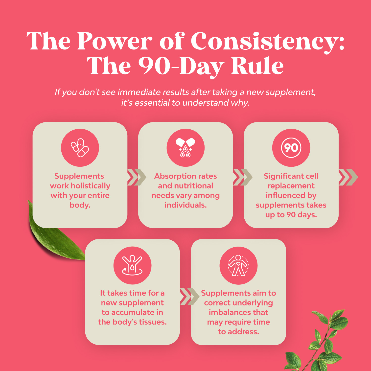 Complete Herbal Menopause Supplement for Women – Hormone Balance 120ct