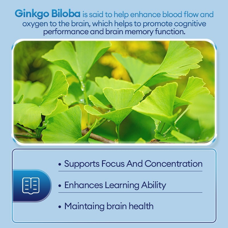 FINE JAPAN Ginkgo Biloba Extract memory health power support 90 tablets 30days