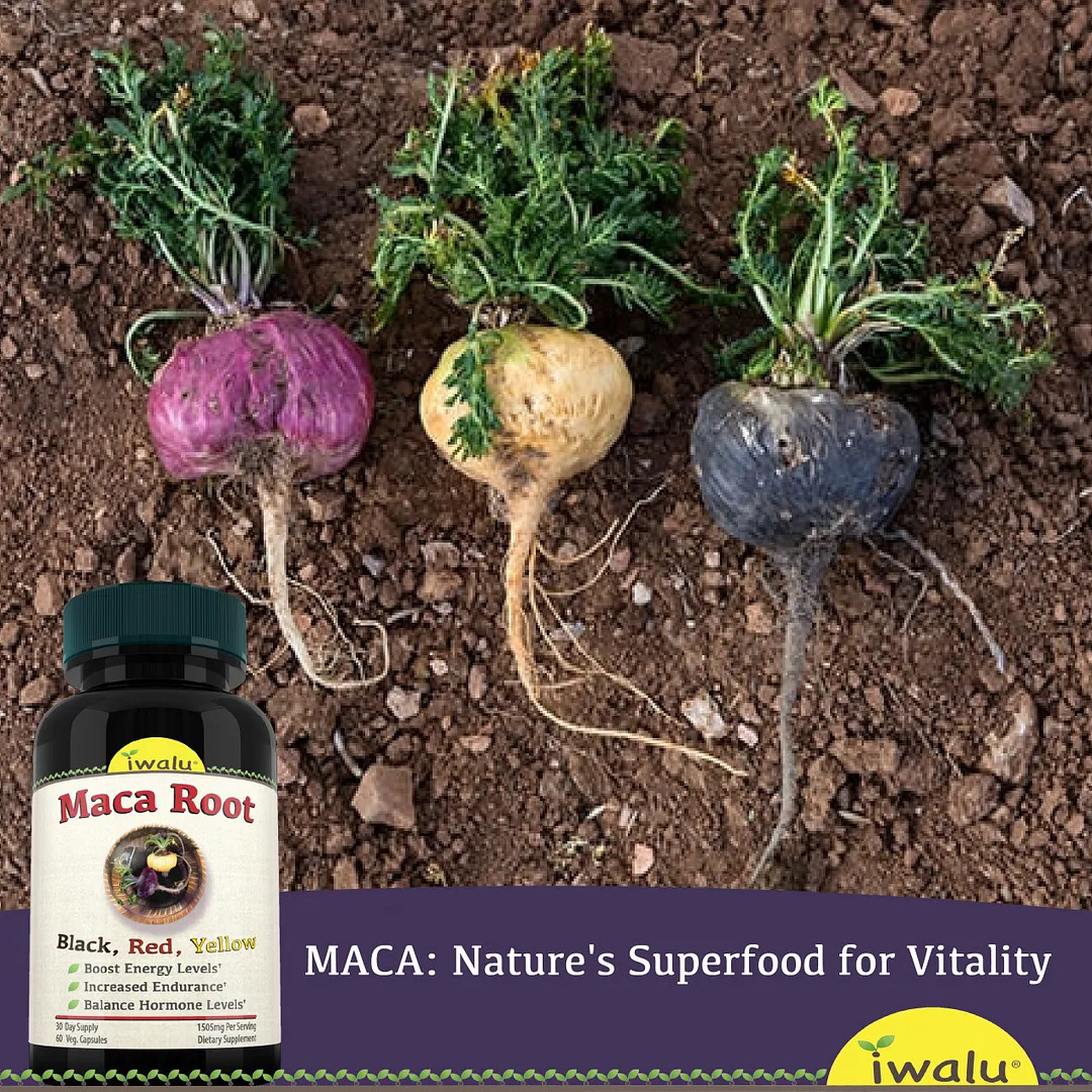 Natural Maca Tablet | Best Supplement Capsule Pill Men Women FREE SHIP