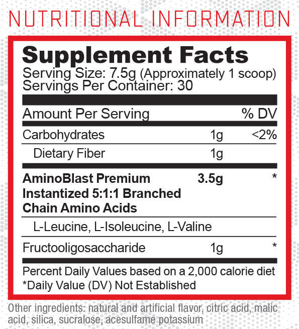 Purus Labs EveryDay Amino