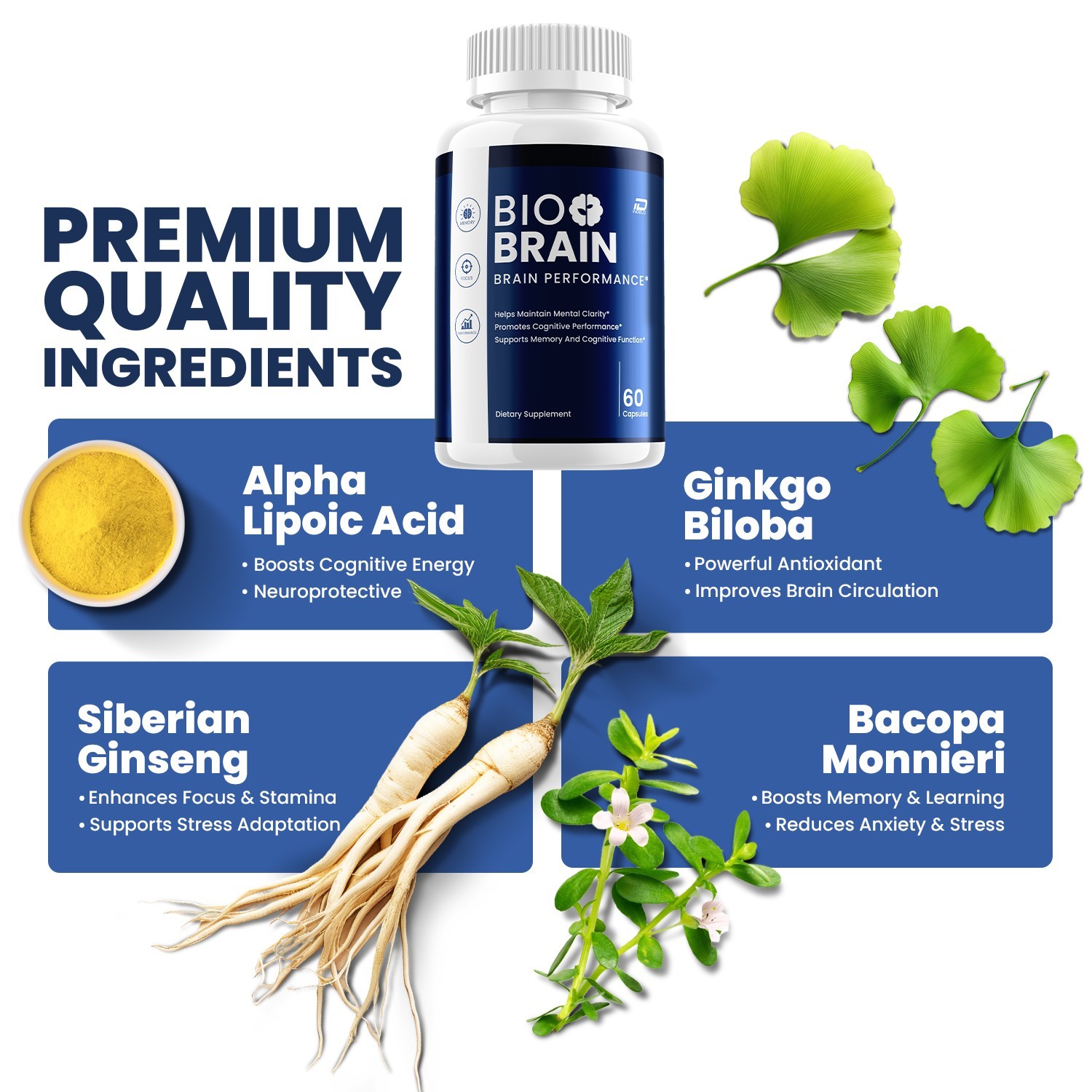 (5 Pack) Bio Brain Supplement Capsules – BioBrain Natural Blend Memory Focus