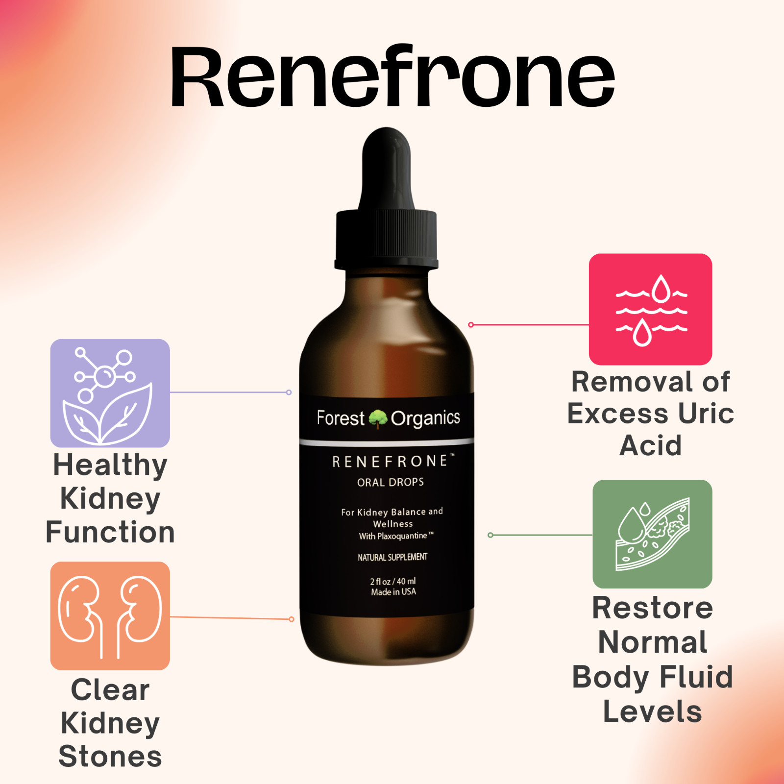 Kidney Health Support Supplement Kidney Detox Drops & Support Kidney Function