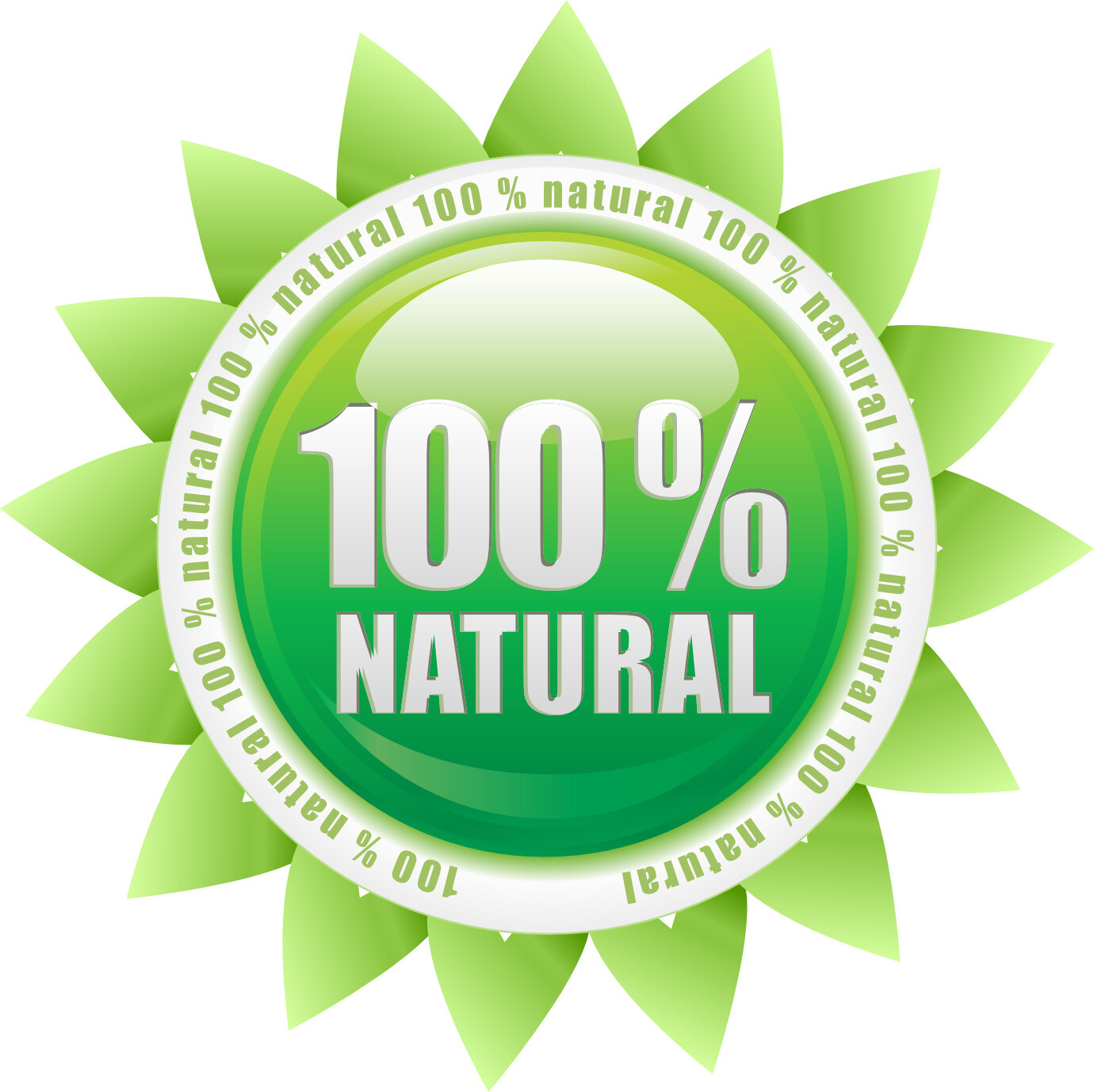 appetite control weight loss – COCONUT OIL ORGANIC – digestion made easy 2 BOTTL