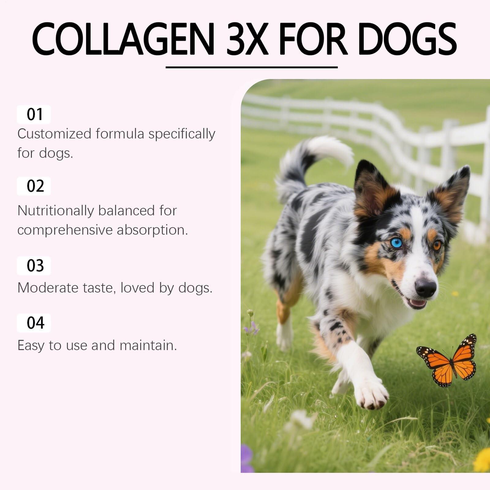 Liquid Bloom Collagen for Dogs, 3 Types Collagen , Healthy Joint, Coat & Gu