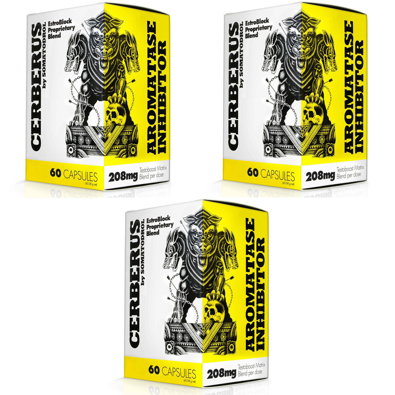 CERBERUS – 60 Capsules – Natural testosterone booster muscle strength recovery